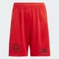 Preview: FC Bayern Munich Children Shorts - 2024-25